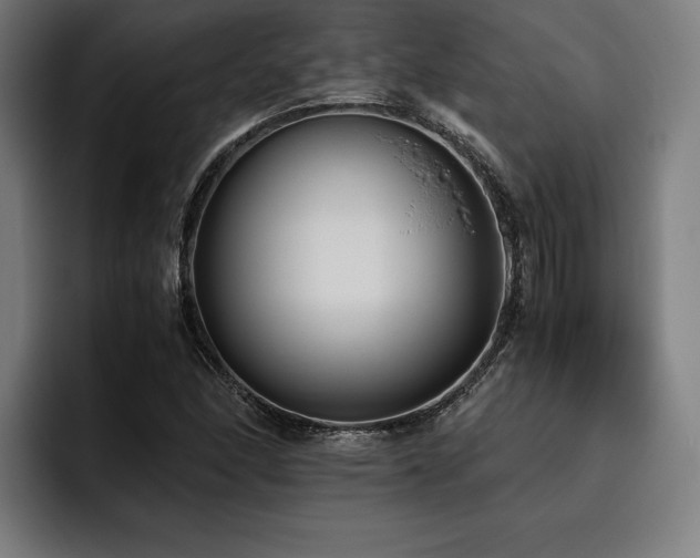 X0000093461166200710121401