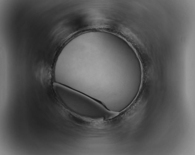 X0000093461169200710121401