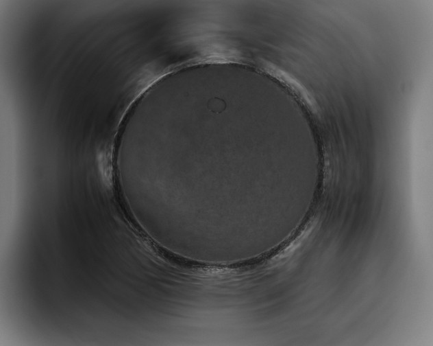 X0000093461170200710121401