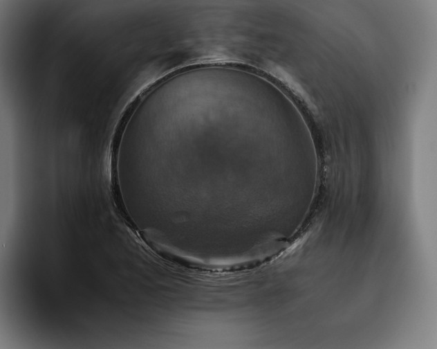 X0000093461173200710121401