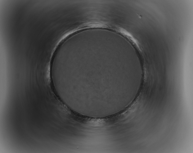 X0000093461174200710121401