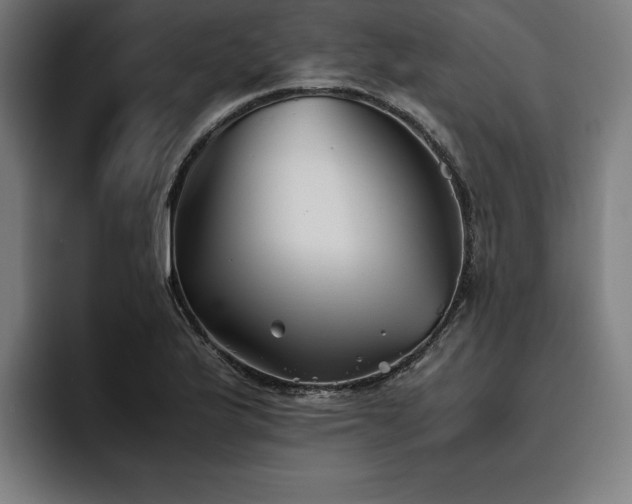 X0000093461175200710121401