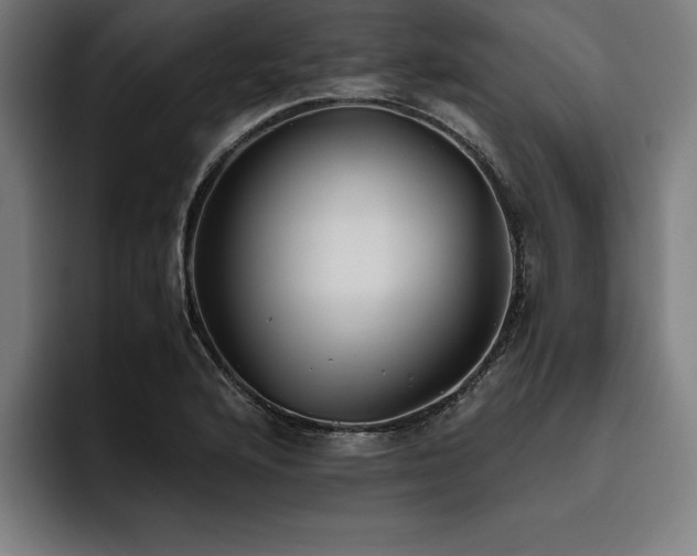 X0000093461176200710121401