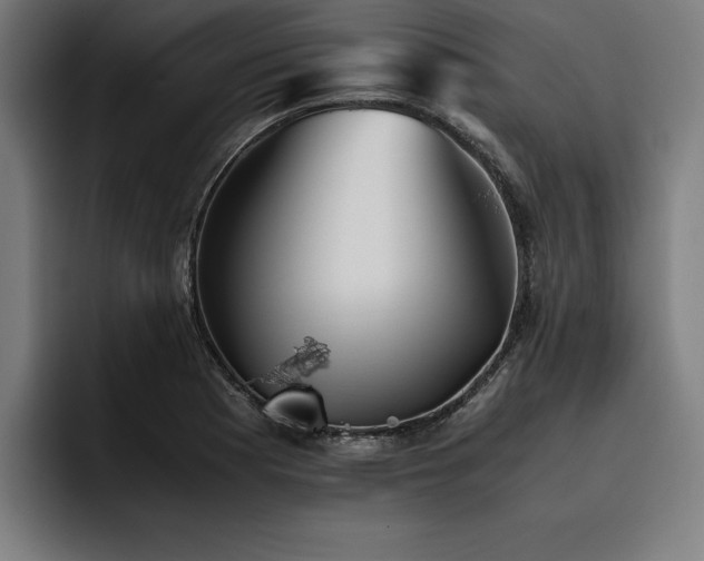 X0000093461177200710121401