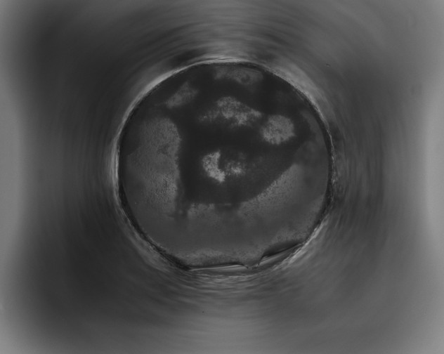 X0000093461179200710121401