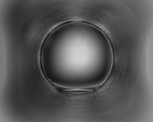 X0000093461183200710121401