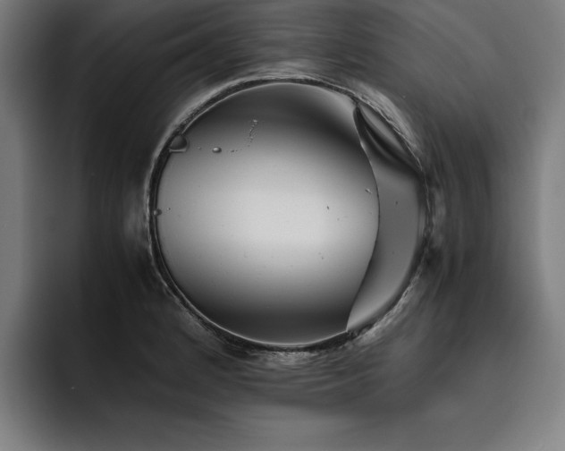 X0000093461184200710121401