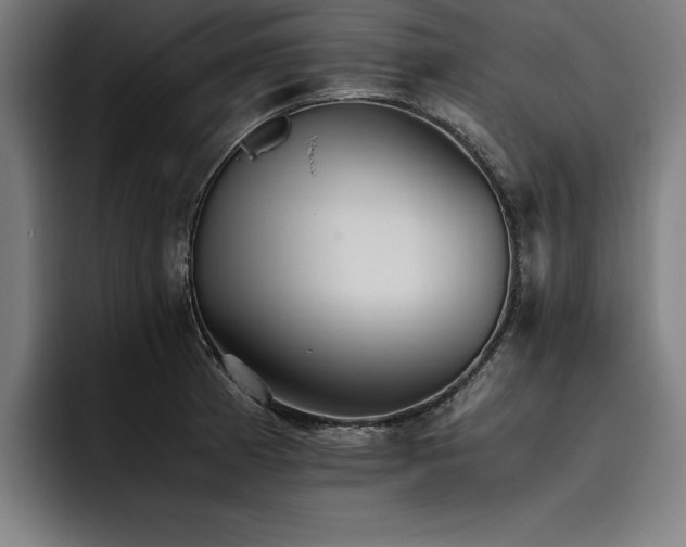 X0000093461185200710121401