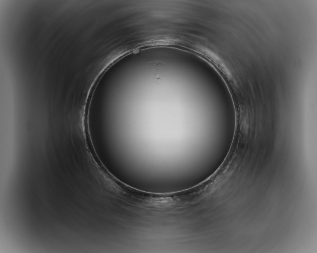 X0000093461186200710121401