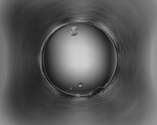 X0000093461187200710121401