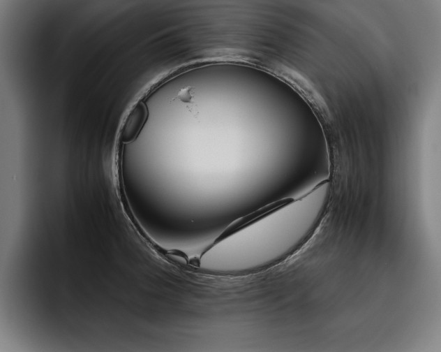 X0000093461188200710121401