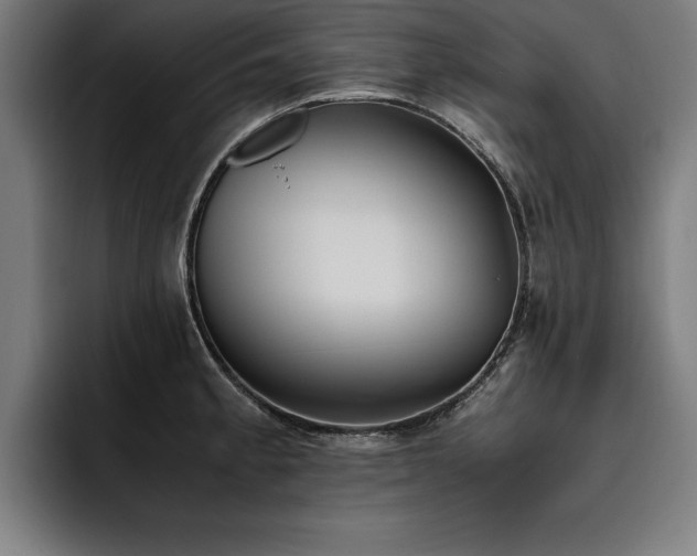 X0000093461189200710121401