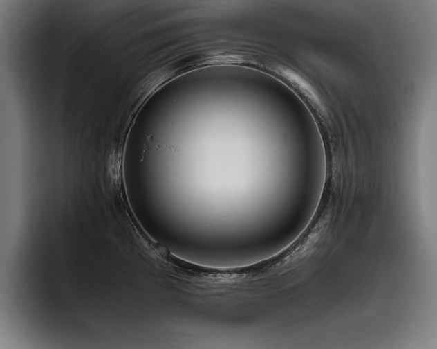 X0000093461193200710121401