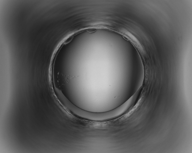 X0000093461196200710121401