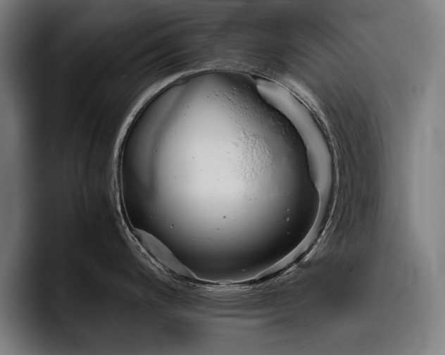 X0000093461200200710121400