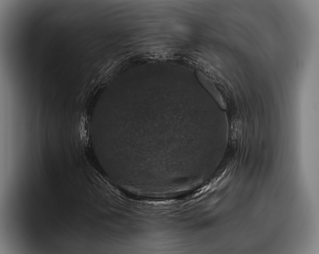 X0000093461202200710121400