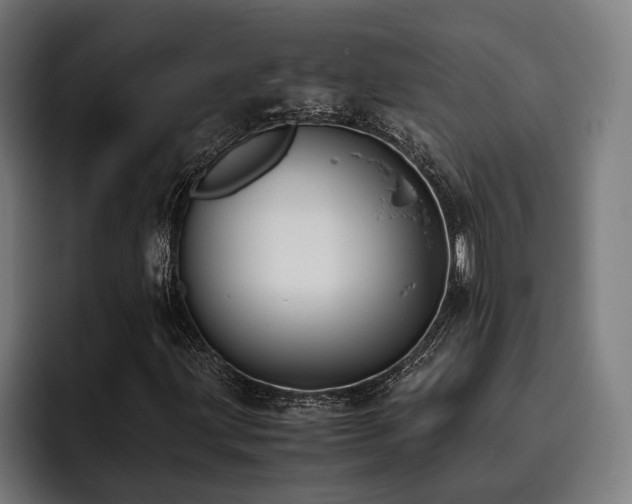 X0000093461203200710121400