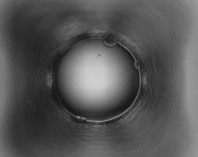 X0000093461204200710121400