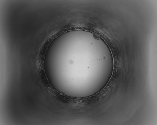 X0000093461207200710121400