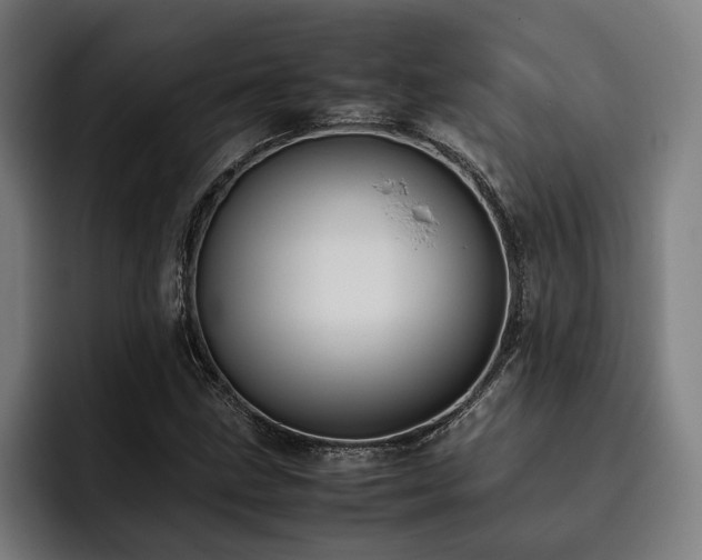 X0000093461211200710121400