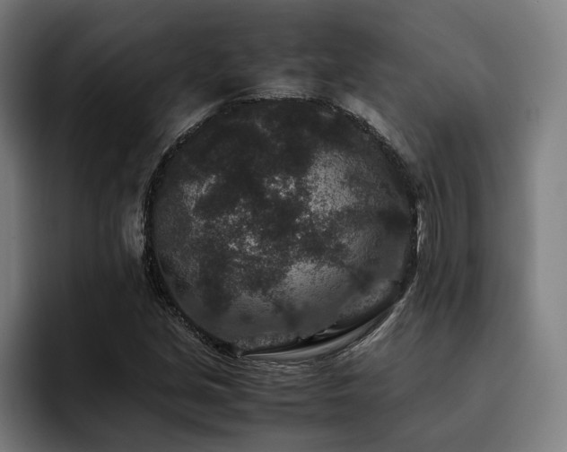 X0000093461213200710121400