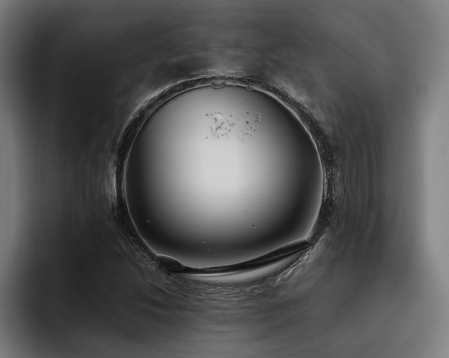 X0000093461214200710121400