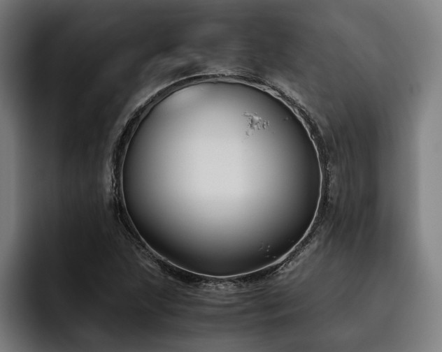 X0000093461215200710121400