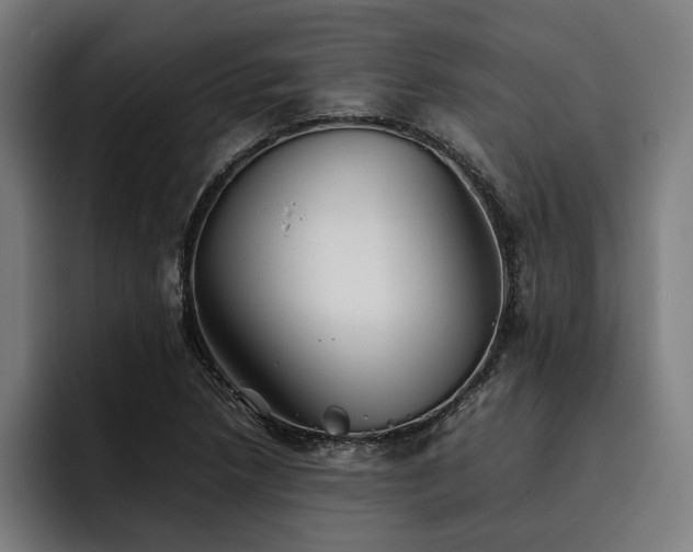 X0000093461218200710121400