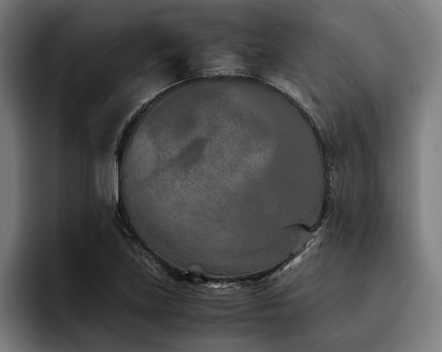 X0000093461219200710121400