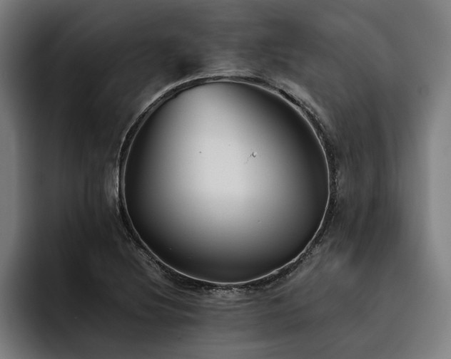 X0000093461220200710121400