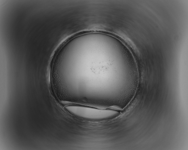 X0000093461224200710121400