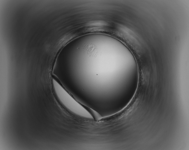 X0000093461225200710121400