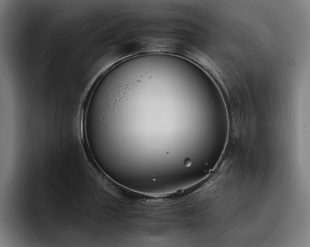 X0000093461227200710121400