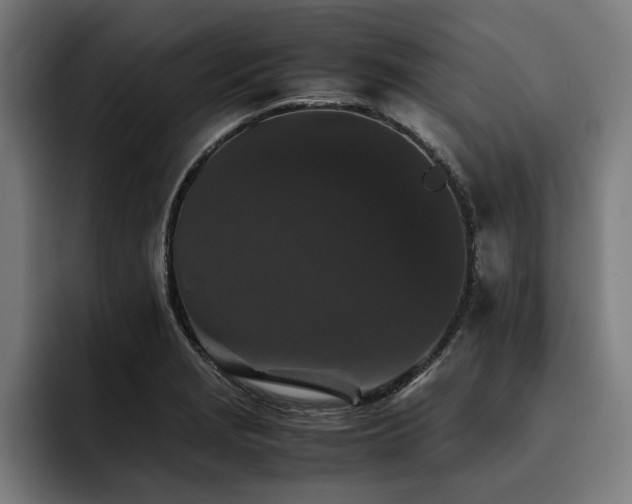 X0000093461229200710121400