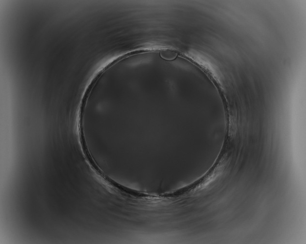 X0000093461231200710121400