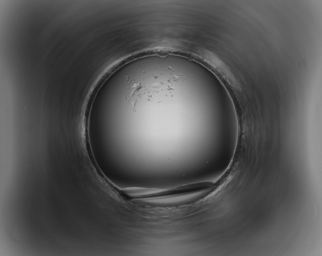 X0000093461232200710121400