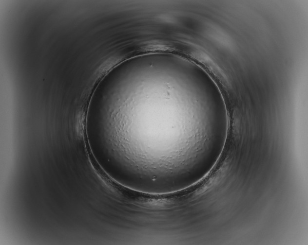 X0000093461233200710121400