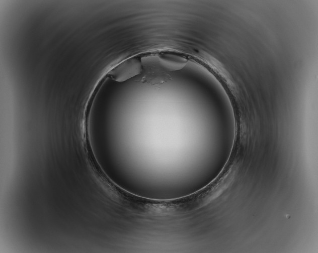 X0000093461234200710121400