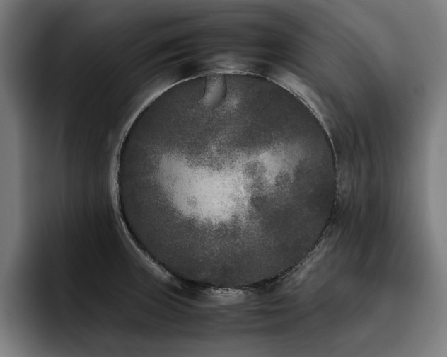 X0000093461235200710121400