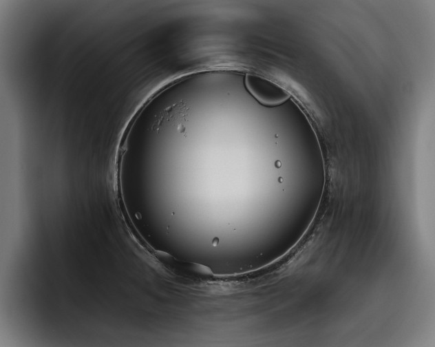 X0000093461236200710121400