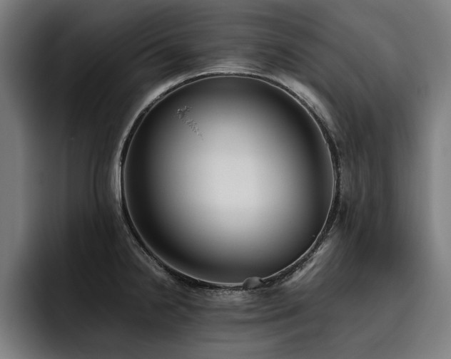 X0000093461238200710121400