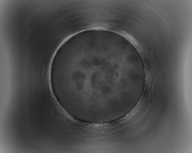 X0000093461240200710121400