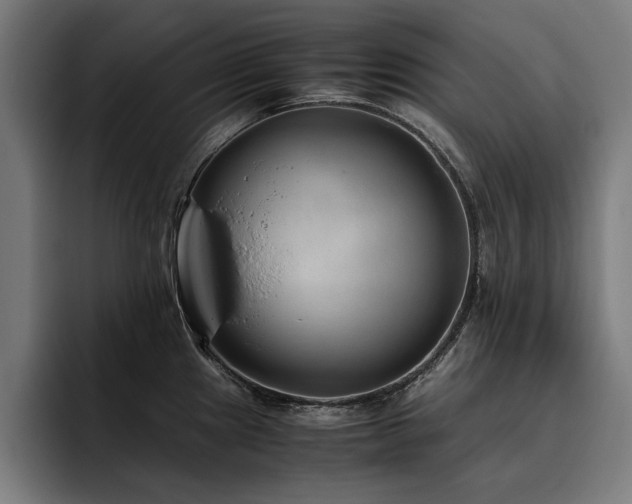 X0000093461241200710121400