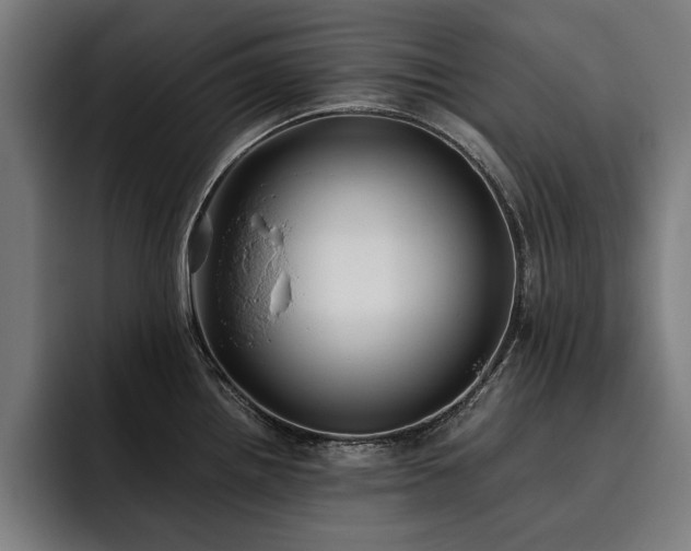 X0000093461242200710121400