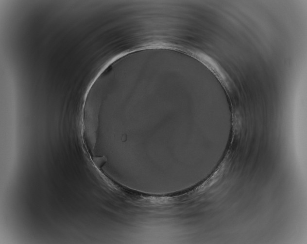 X0000093461244200710121400