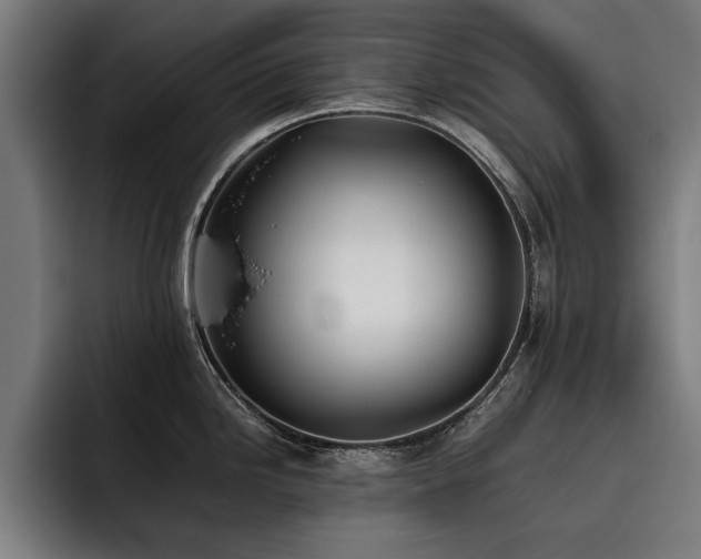 X0000093461246200710121400