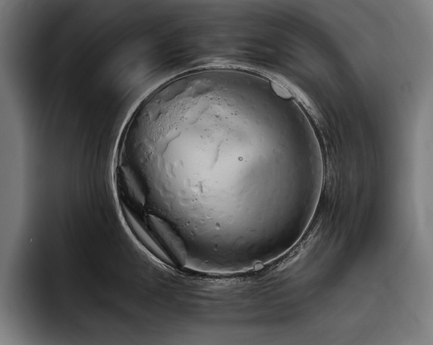 X0000093461247200710121400