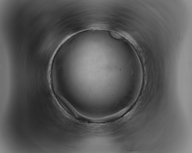 X0000093461248200710121400