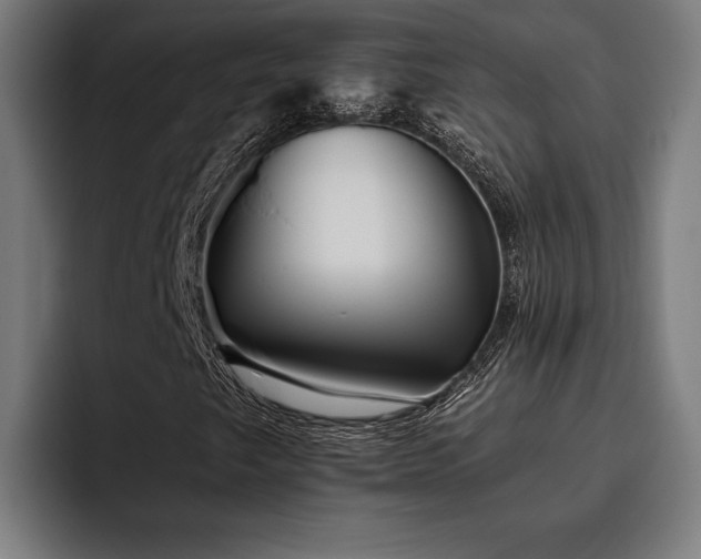 X0000093461249200710121400