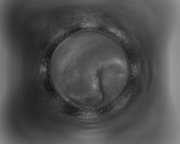 X0000093461254200710121400